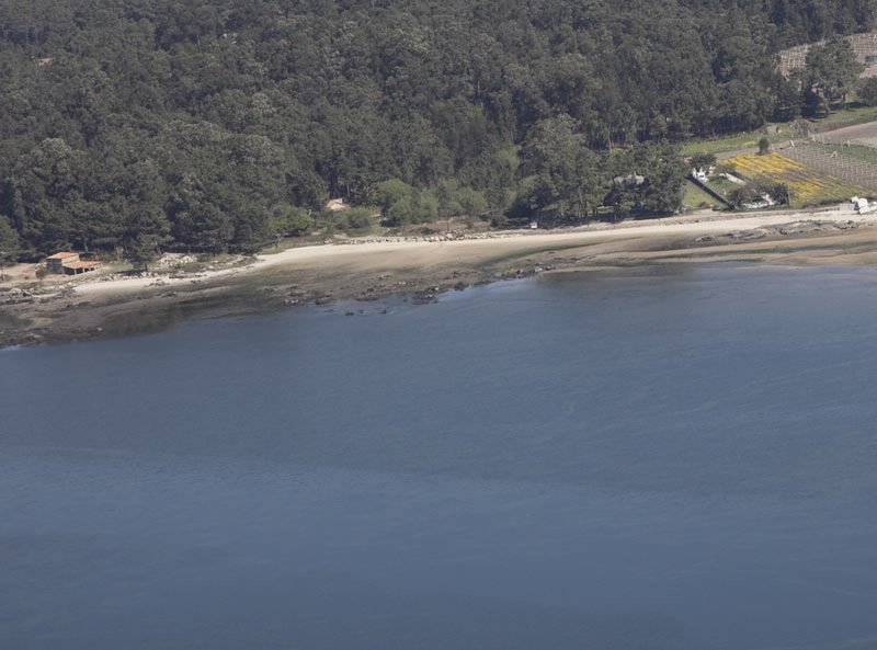 Foto de Playa Pereiro en Cambados