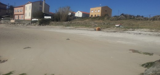 Foto de Playa Piñeirón en Boiro