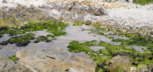 Foto de Playa Porto de Leira en Carballo