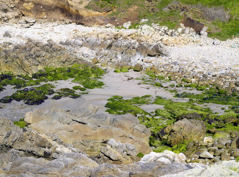 Foto de Playa Porto de Leira en Carballo