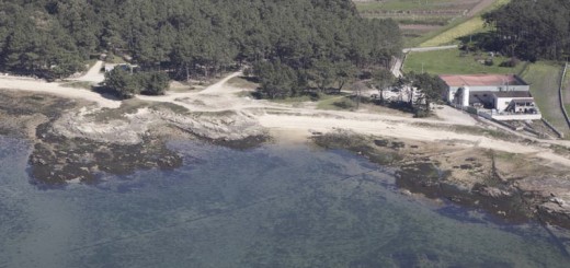 Foto de Playa Rego do Alcalde en Vilanova de Arousa