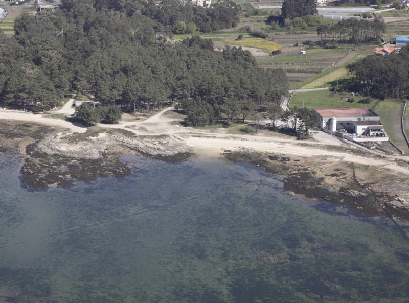 Foto de Playa Rego do Alcalde en Vilanova de Arousa