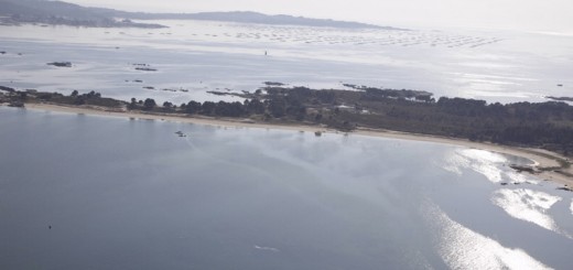 Foto de Playa Salinas en A Illa de Arousa