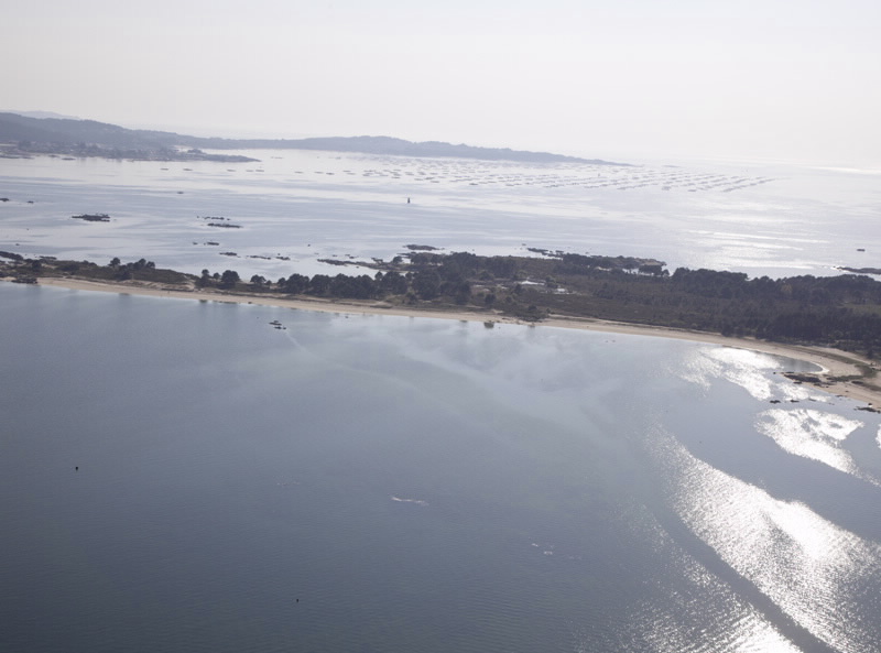 Foto de Playa Salinas en A Illa de Arousa