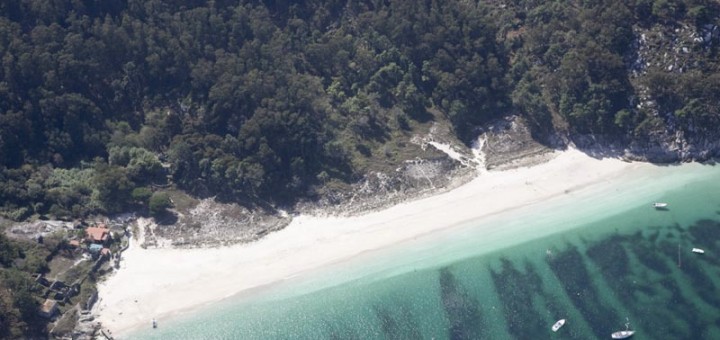 Foto de Playa San Martiño ( Parque natural Illas Cies) en Vigo