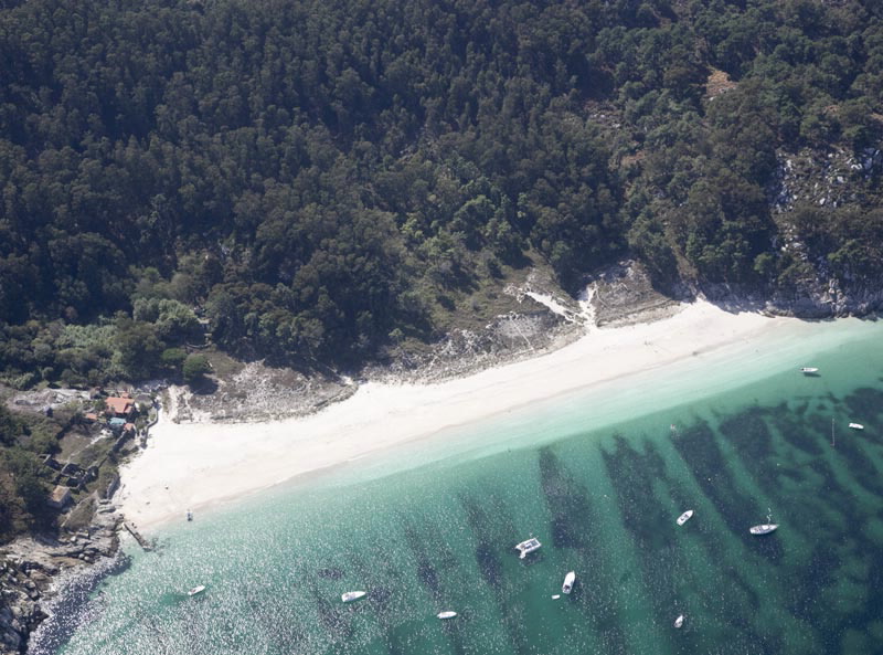 Foto de Playa San Martiño ( Parque natural Illas Cies) en Vigo