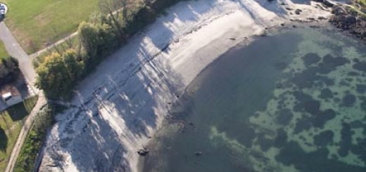 Foto de Playa Santa Baia en Vigo