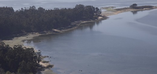 Foto de Playa Seiñas en Cambados