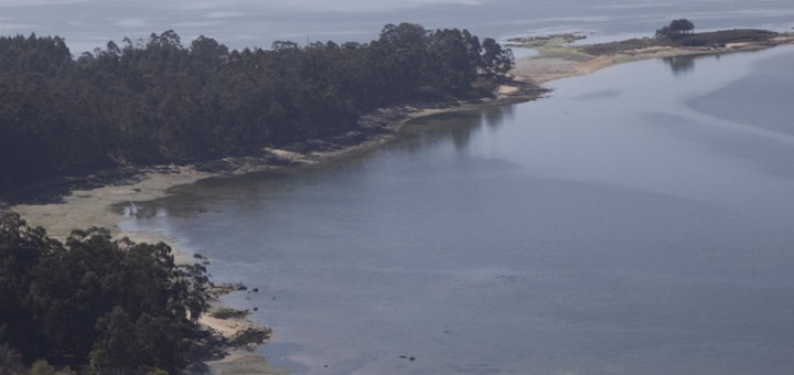 Foto de Playa Seiñas en Cambados