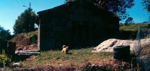 Foto de Capilla da Travesía en Cerceda