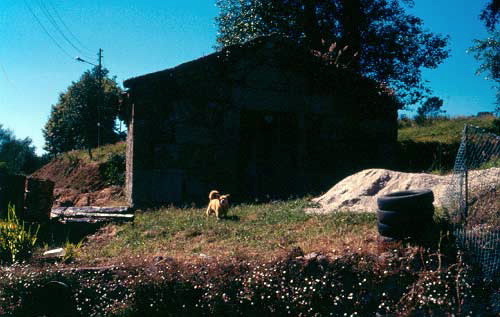 Foto de Capilla da Travesía en Cerceda