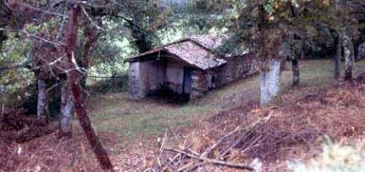 Foto de Capilla de Fontesanta en Arzúa
