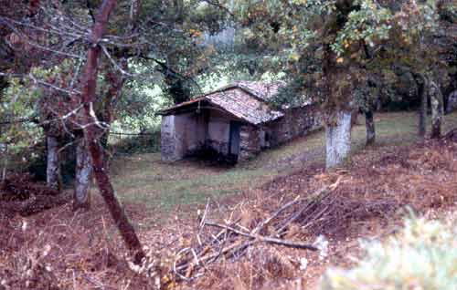Foto de Capilla de Fontesanta en Arzúa