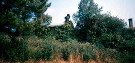 Foto de Capilla de Pruzos en Irixoa