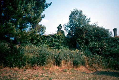 Foto de Capilla de Pruzos en Irixoa