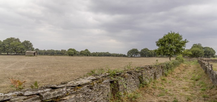 Foto de Capilla de San Roque, San Xoán do Campo en Lugo