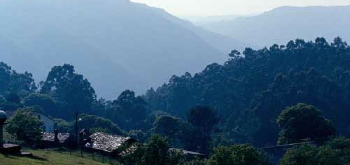 Foto de Ermita de San Bartolomeu en Monfero