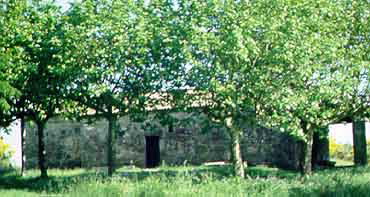 Foto de Ermita de San Roque de Vilagarcía en Vilagarcía de Arousa