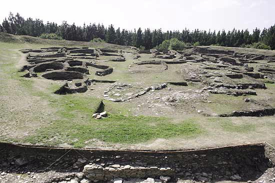 Foto de Castro de Viladonga en Castro de Rei