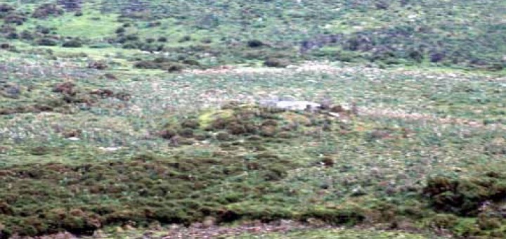 Foto de Dolmen Arca do Barbanza en Boiro