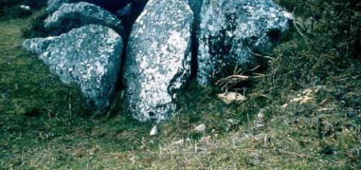 Foto de Dolmen Casota do Páramo en Boiro