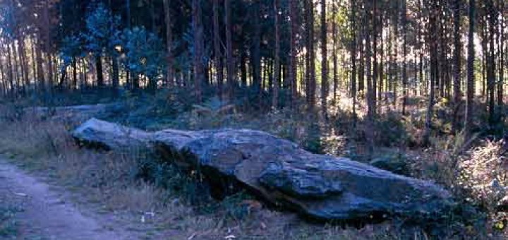 Foto de Dolmen de Aiazo en Frades