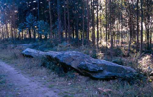 Foto de Dolmen de Aiazo en Frades