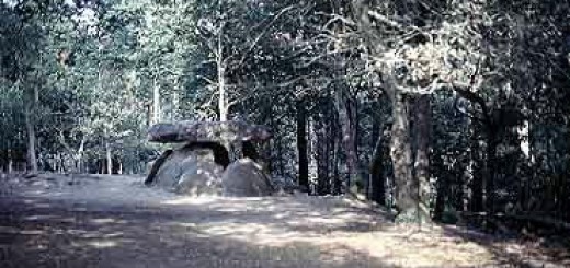 Foto de Dolmen de Axeitos en Ribeira