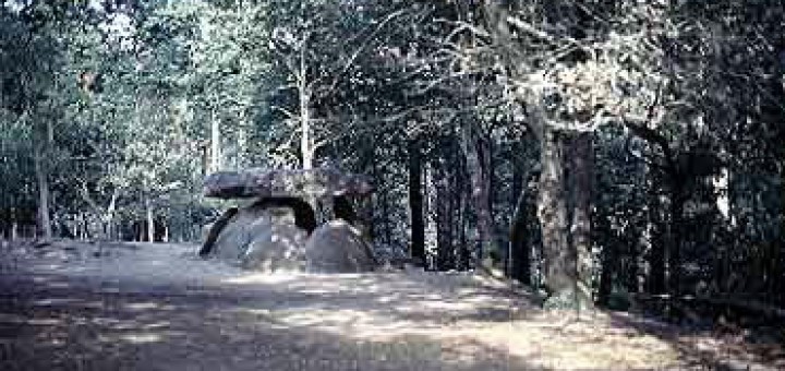 Foto de Dolmen de Axeitos en Ribeira