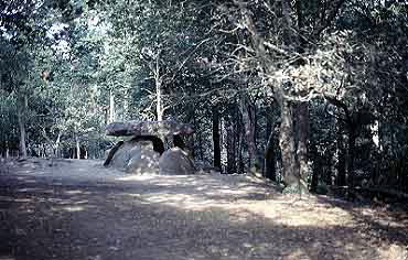 Foto de Dolmen de Axeitos en Ribeira