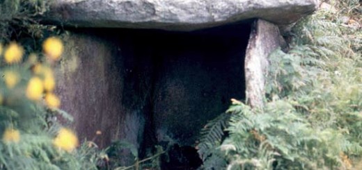 Foto de Dolmen de Freáns o Casota dos Mouros en Vimianzo