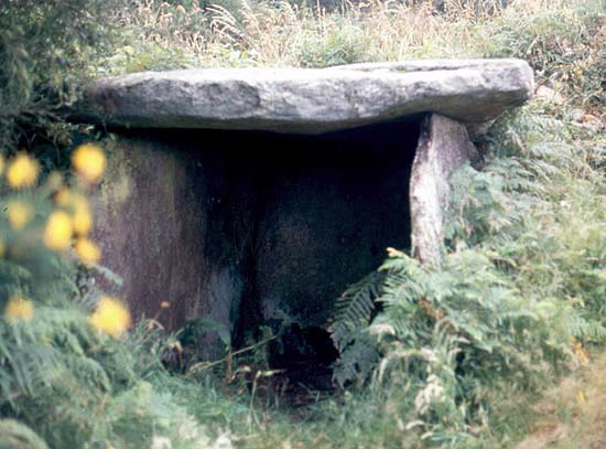 Foto de Dolmen de Freáns o Casota dos Mouros en Vimianzo