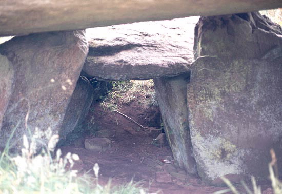 Foto de Dolmen de Pedra da Arca en Vimianzo