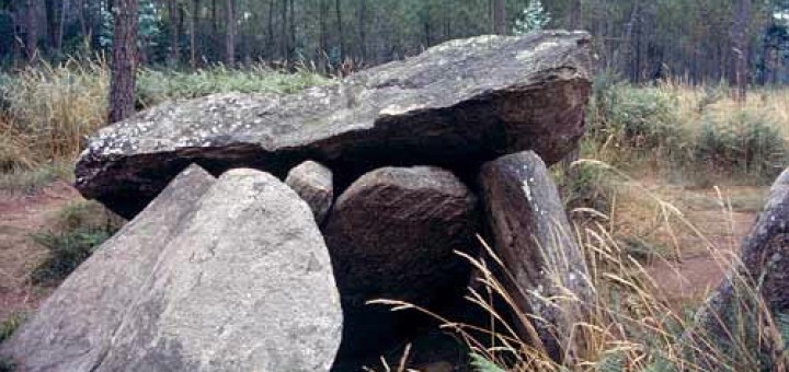 Foto de Dolmen Pedra da Arca en Malpica de Bergantiños