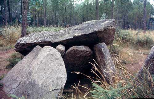 Foto de Dolmen Pedra da Arca en Malpica de Bergantiños