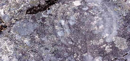 Foto de Grabados Rupestres de Portela da Laxe en Cotobade