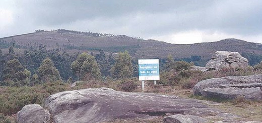 Foto de Petroglifo de Chan da Lagoa en Campo Lameiro