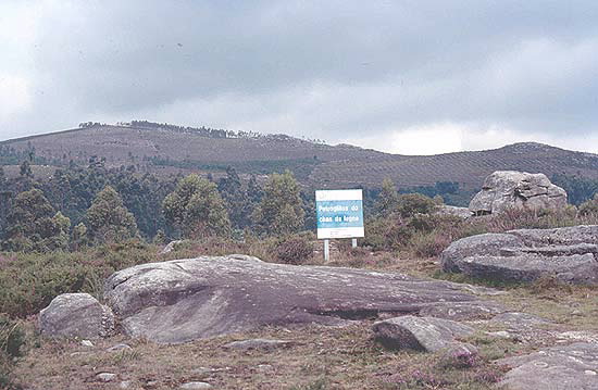 Foto de Petroglifo de Chan da Lagoa en Campo Lameiro