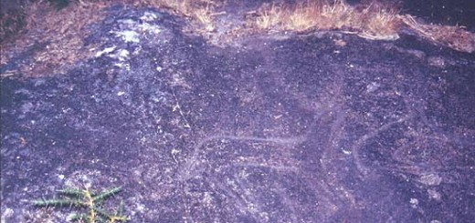 Foto de Petroglifo de Paredes en Campo Lameiro