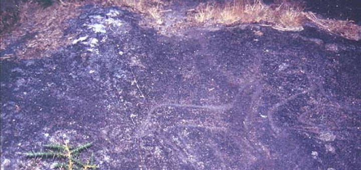 Foto de Petroglifo de Paredes en Campo Lameiro