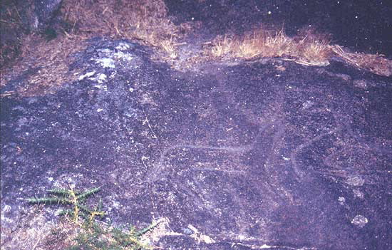 Foto de Petroglifo de Paredes en Campo Lameiro