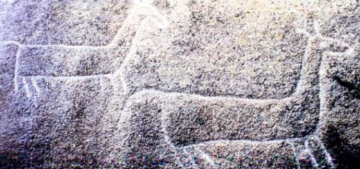 Foto de Petroglifo de Pedra das Cabras en Ribeira