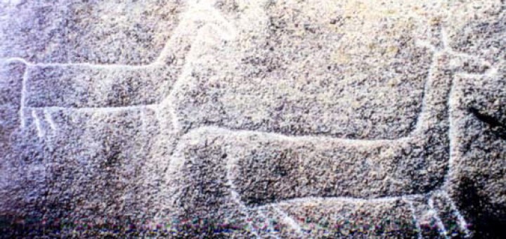 Foto de Petroglifo de Pedra das Cabras en Ribeira