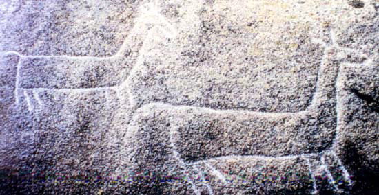 Foto de Petroglifo de Pedra das Cabras en Ribeira