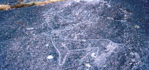 Foto de Petroglifo Laxe da Rotea de Mendo en Campo Lameiro