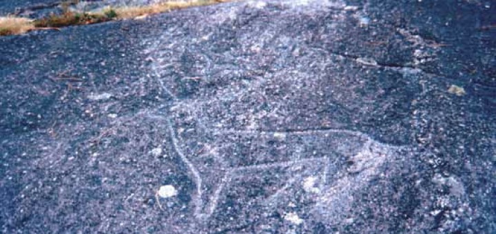 Foto de Petroglifo Laxe da Rotea de Mendo en Campo Lameiro