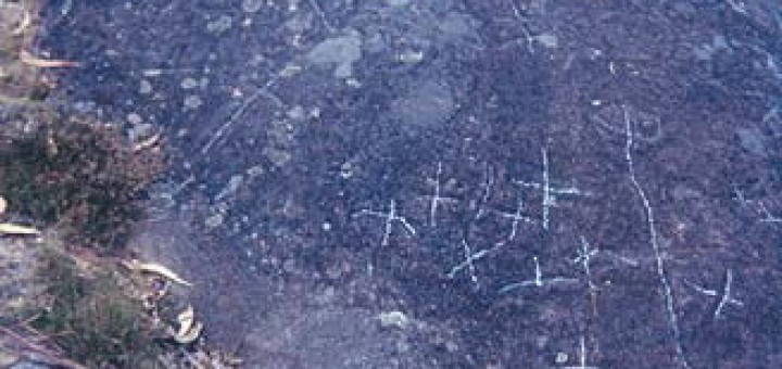 Foto de Petroglifo Pedra da Boullosa en Campo Lameiro