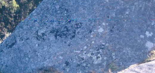Foto de Petroglifo Pedra da Serpe en Campo Lameiro