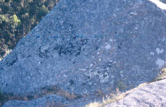 Foto de Petroglifo Pedra da Serpe en Campo Lameiro