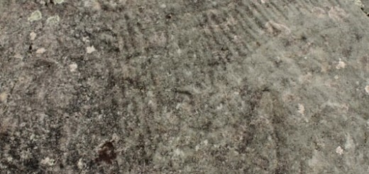 Foto de Petroglifos do Castriño de Conxo en Santiago de Compostela